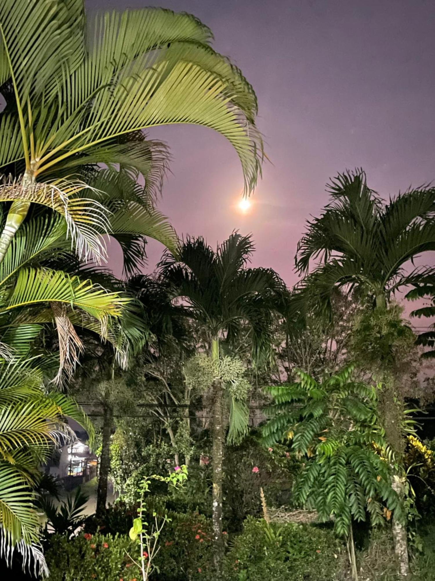 Hotel Tierra De Volcanes La Fortuna 외부 사진