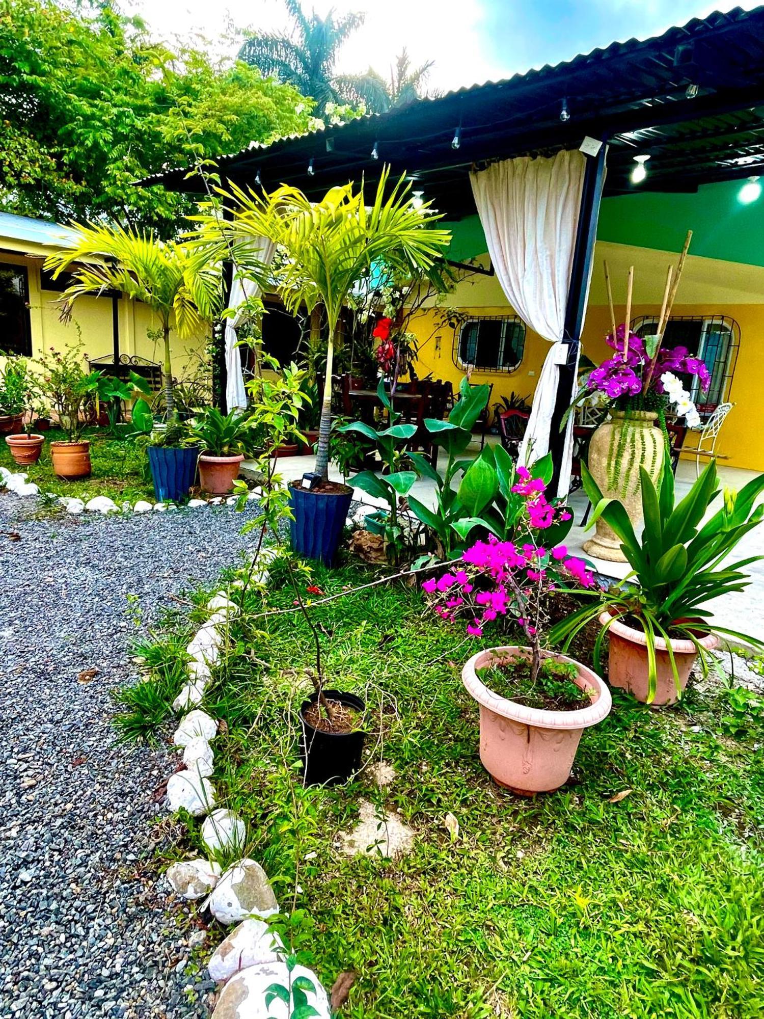 Hotel Tierra De Volcanes La Fortuna 외부 사진