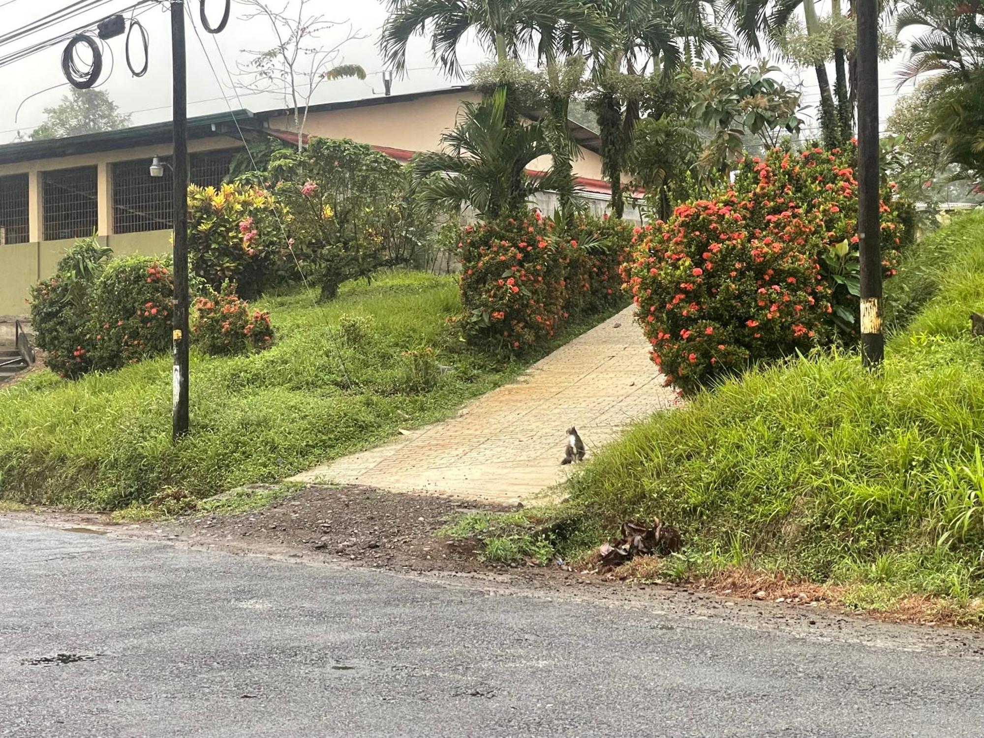 Hotel Tierra De Volcanes La Fortuna 외부 사진