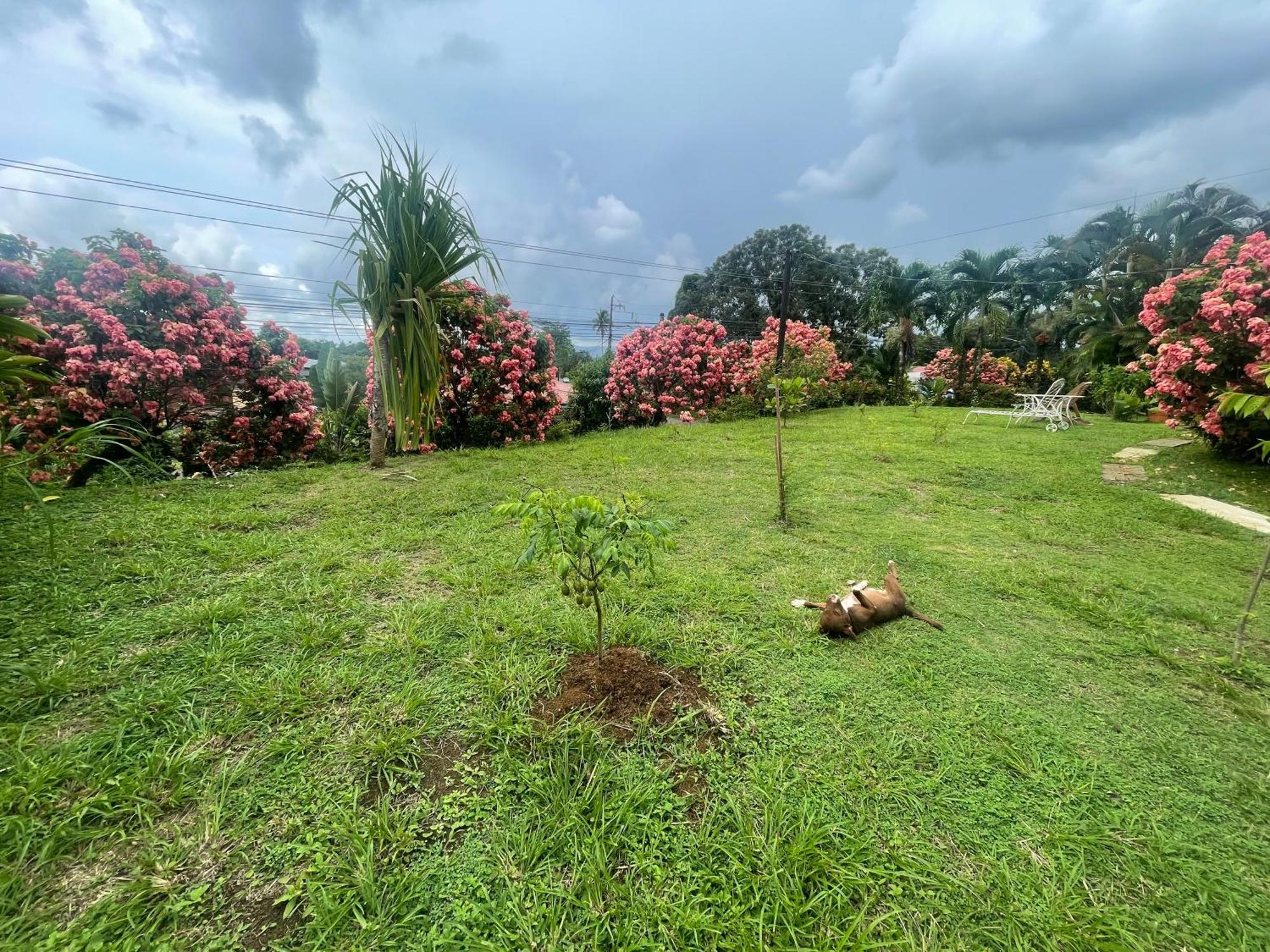 Hotel Tierra De Volcanes La Fortuna 외부 사진